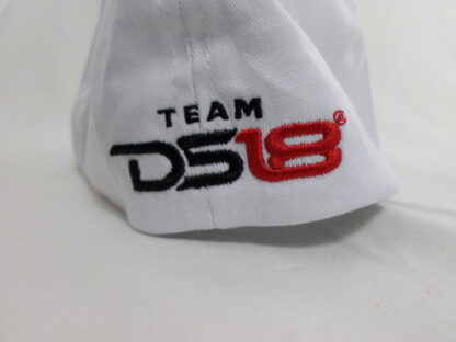DS18 Swag Package - Image 4