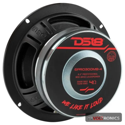 DS18 6PRO300MB4
