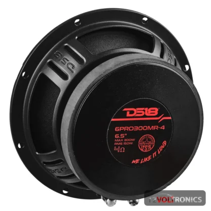 DS18 6PRO300MR4