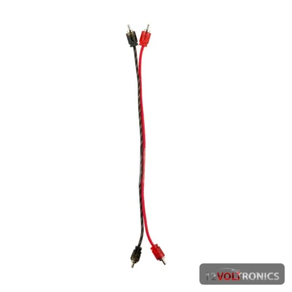 DS18 RCA1